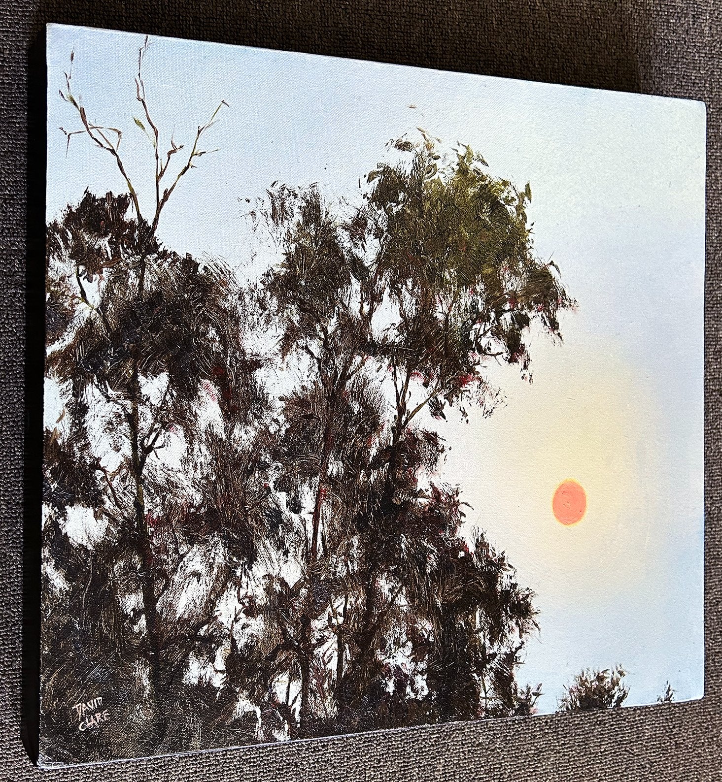 69164a62e1b8ea140711df10_orange-sun-new-ls-lr_1774147962626.jpg