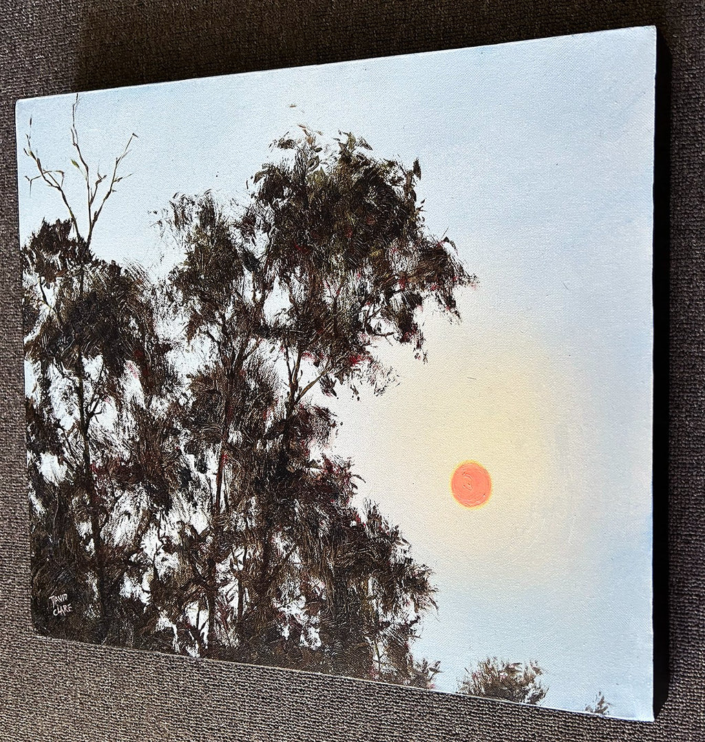 69164a62e1b8ea140711df10_orange-sun-new-rs-lr_1774147962625.jpg