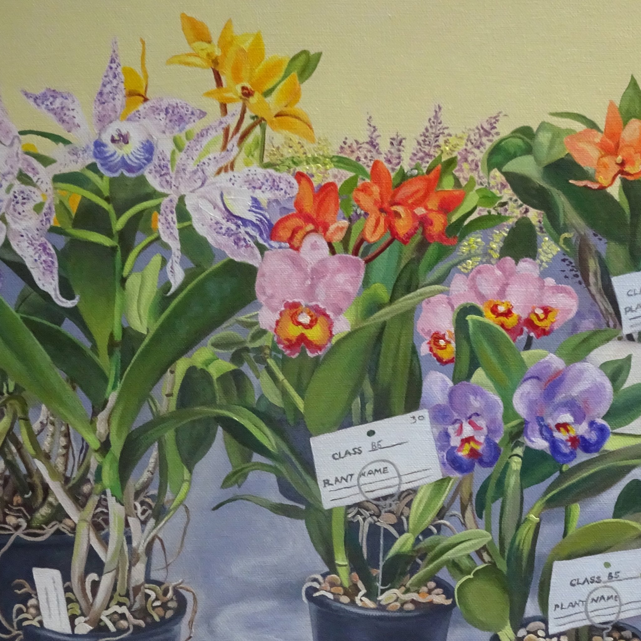 69164a62e1b8ea140711df10_orchid-display-1-detail-flower_1776468112500.jpg