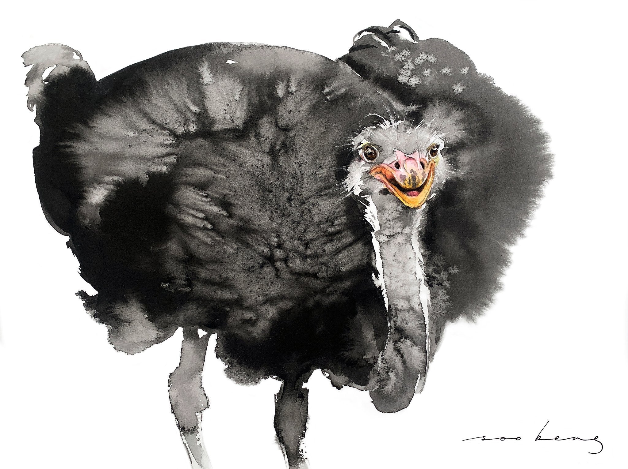 69164a62e1b8ea140711df10_ostrich-glee_1773264175640.jpg