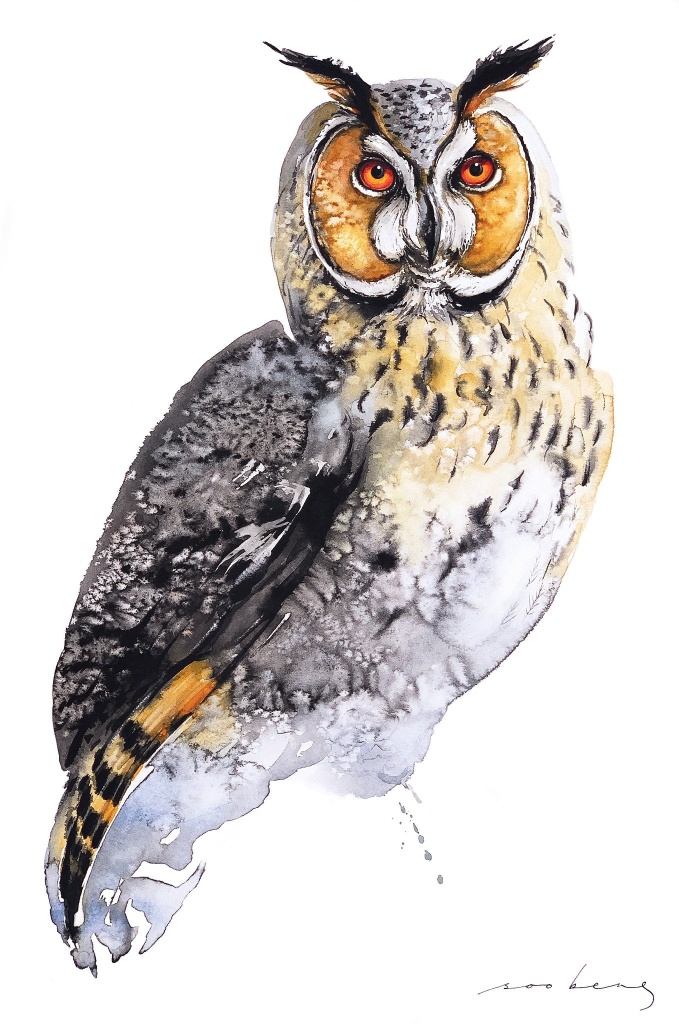 69164a62e1b8ea140711df10_owl-s-wisdom-copy_1773178902663.jpg