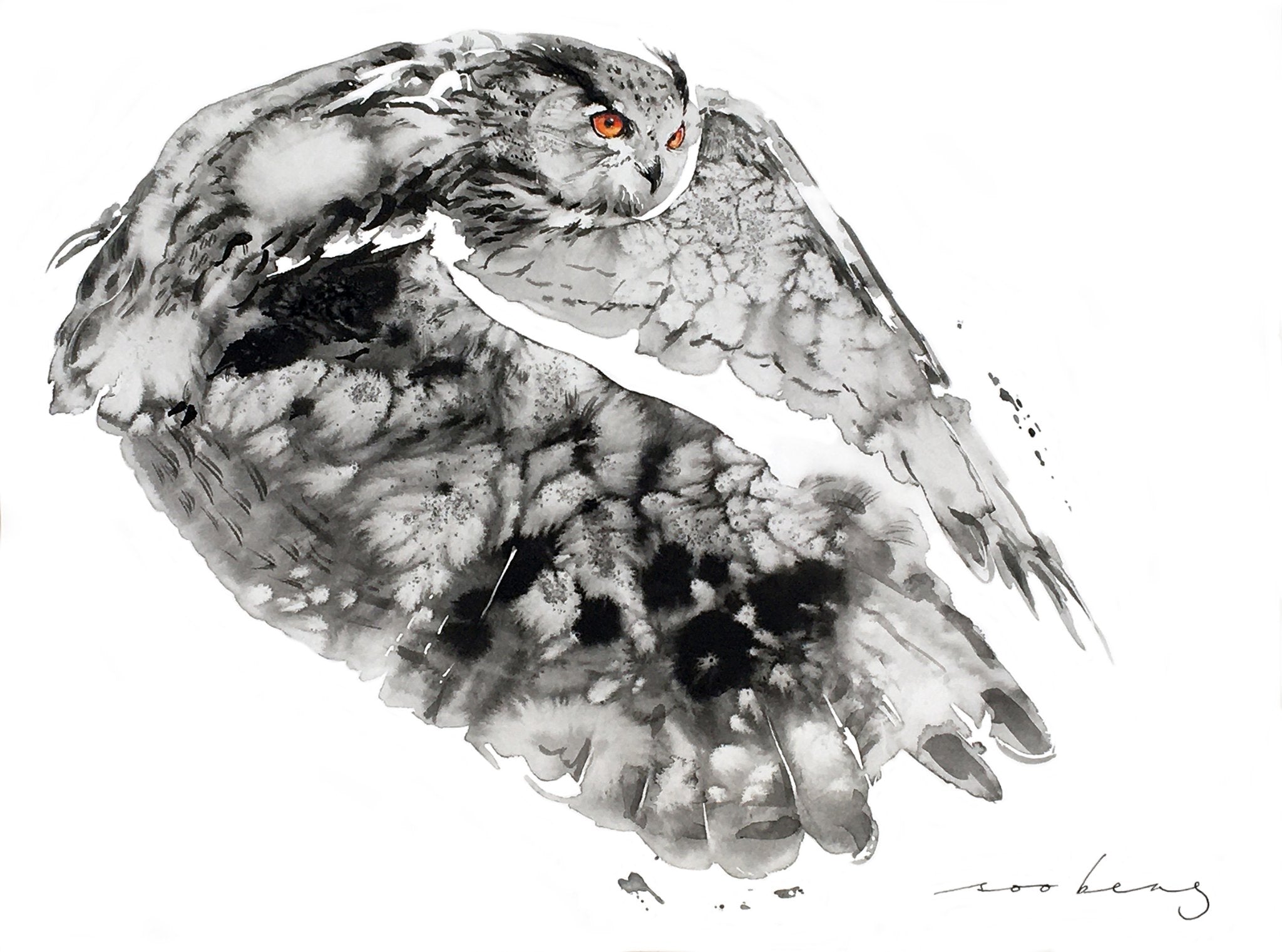 69164a62e1b8ea140711df10_owl-whispers_1773875342185.jpg