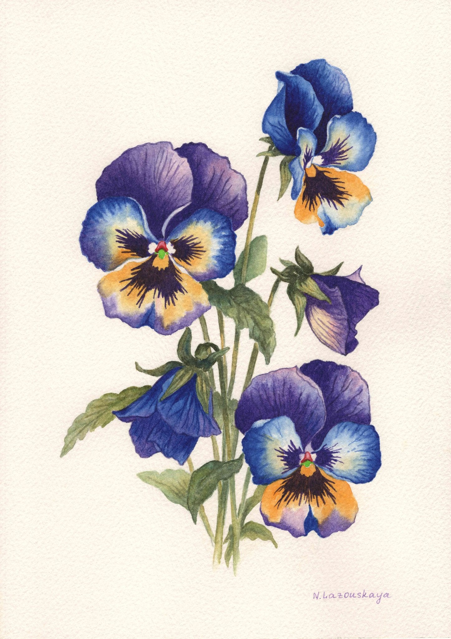 69164a62e1b8ea140711df10_pansies_1785065017424.jpg