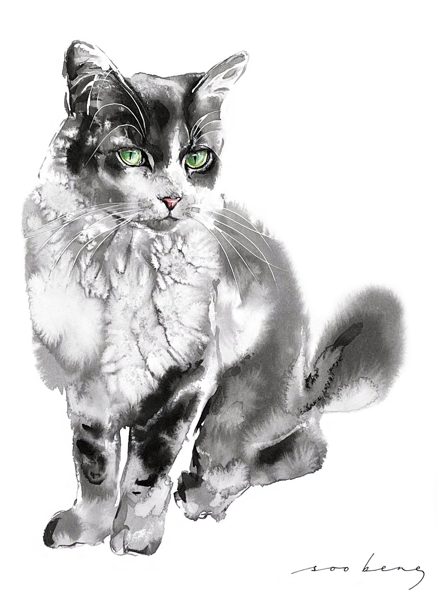 69164a62e1b8ea140711df10_paws-of-poise_1774076058622.jpg