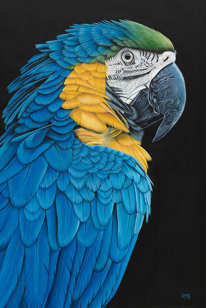 69164a62e1b8ea140711df10_pd-ambloor-blue-green-bird-910x610srgbweb_1774672830914.jpg