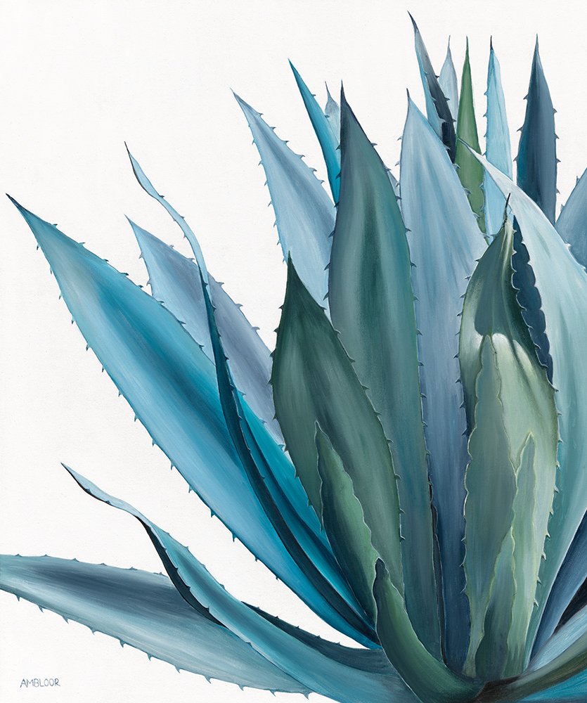69164a62e1b8ea140711df10_pd-ambloor-blueagave-760x910srgbweb_1774675235037.jpg