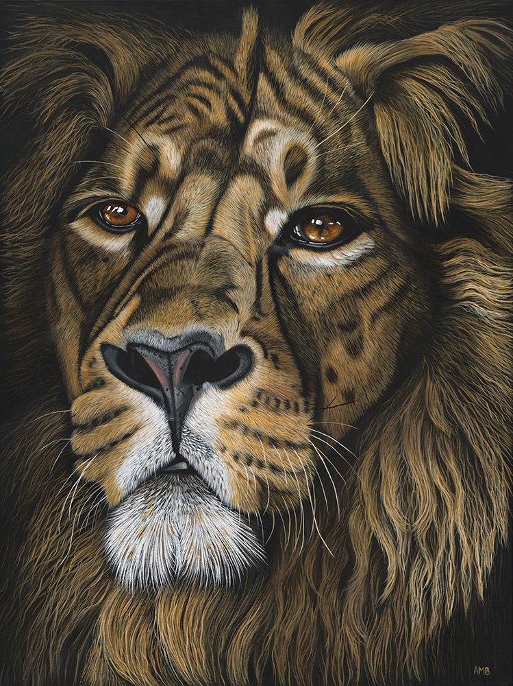 69164a62e1b8ea140711df10_pd-ambloor-lion-2-1015x760srgbweb_1774674500633.jpg