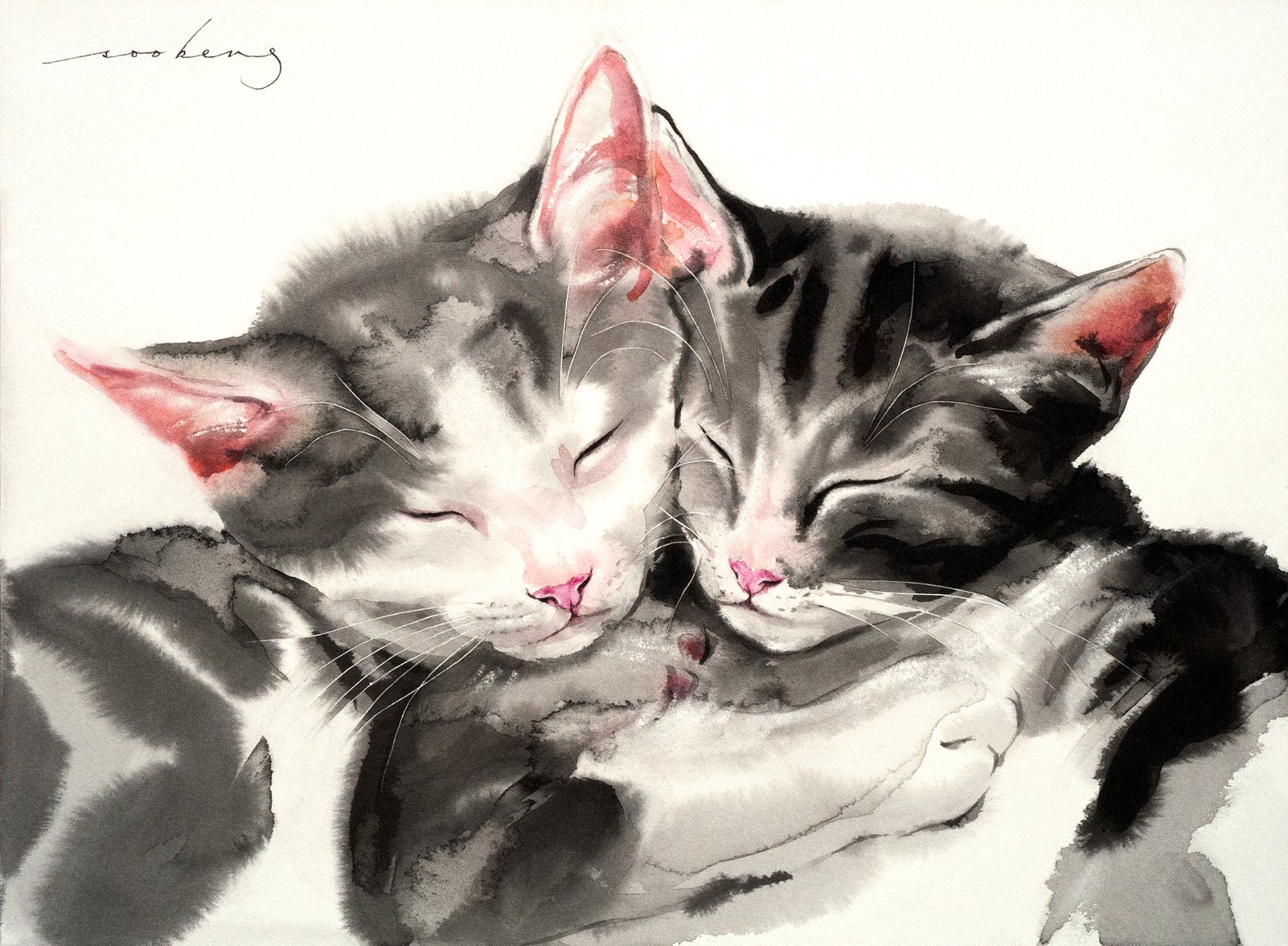 69164a62e1b8ea140711df10_peaceful-slumber2_1774909798012.jpg