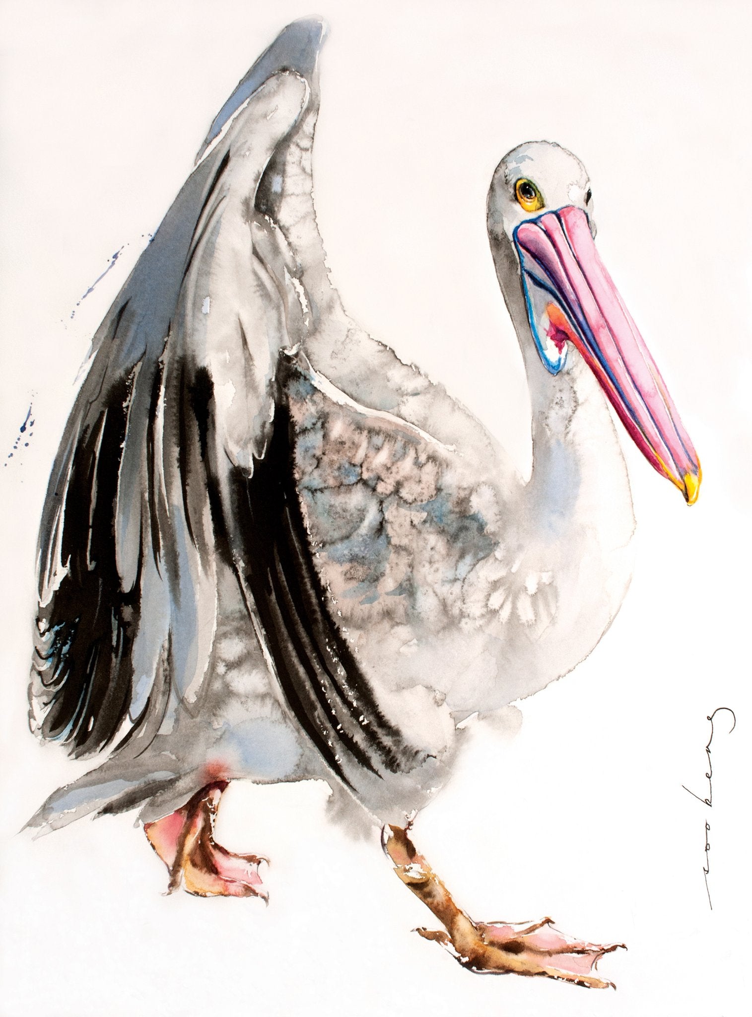 69164a62e1b8ea140711df10_pelican-diva_1773873589612.jpg