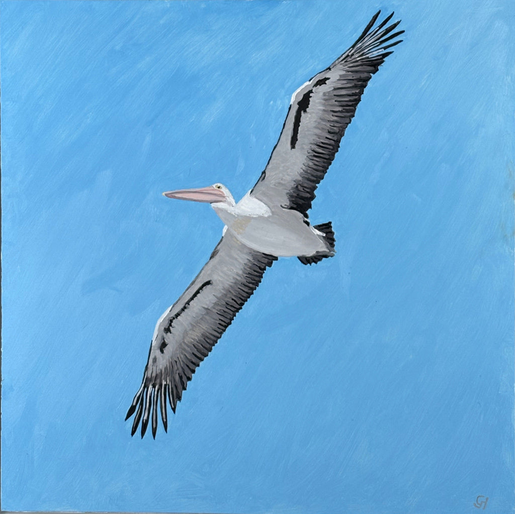 69164a62e1b8ea140711df10_pelican-flight-_1786153183636.jpg