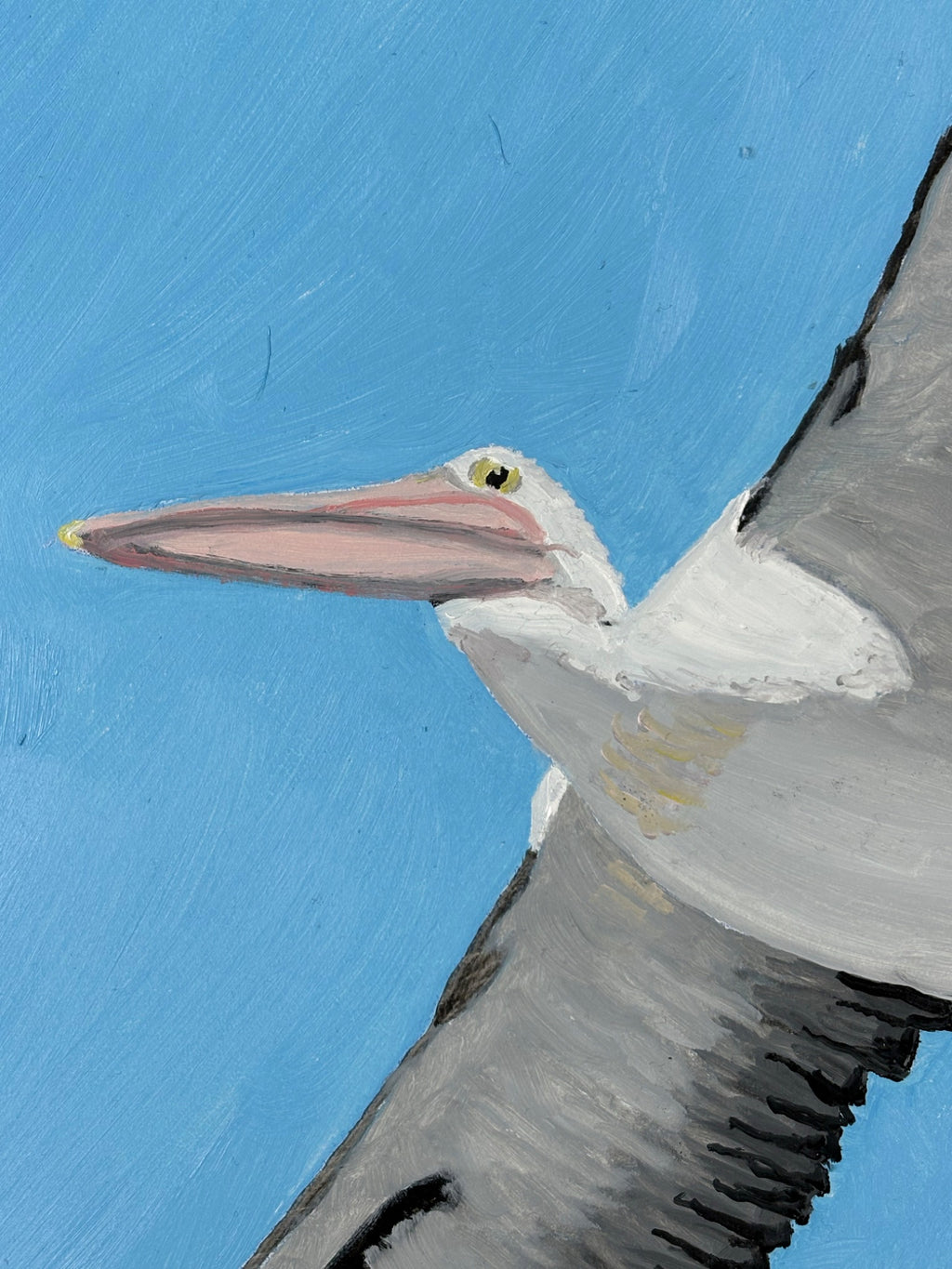 69164a62e1b8ea140711df10_pelican-flight-detail_1786153200459.jpg