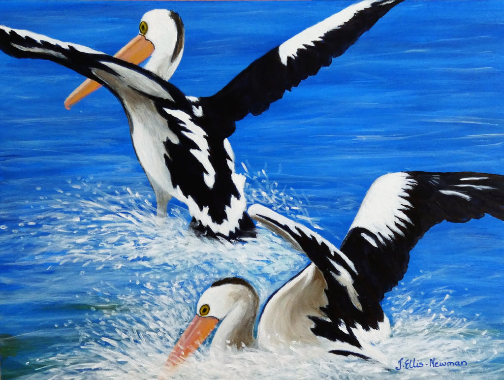69164a62e1b8ea140711df10_pelican-flight-no_1784948942260.jpg