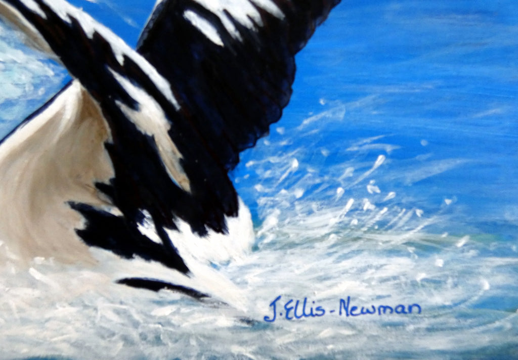 69164a62e1b8ea140711df10_pelican-flight-no_1784948942261.jpg