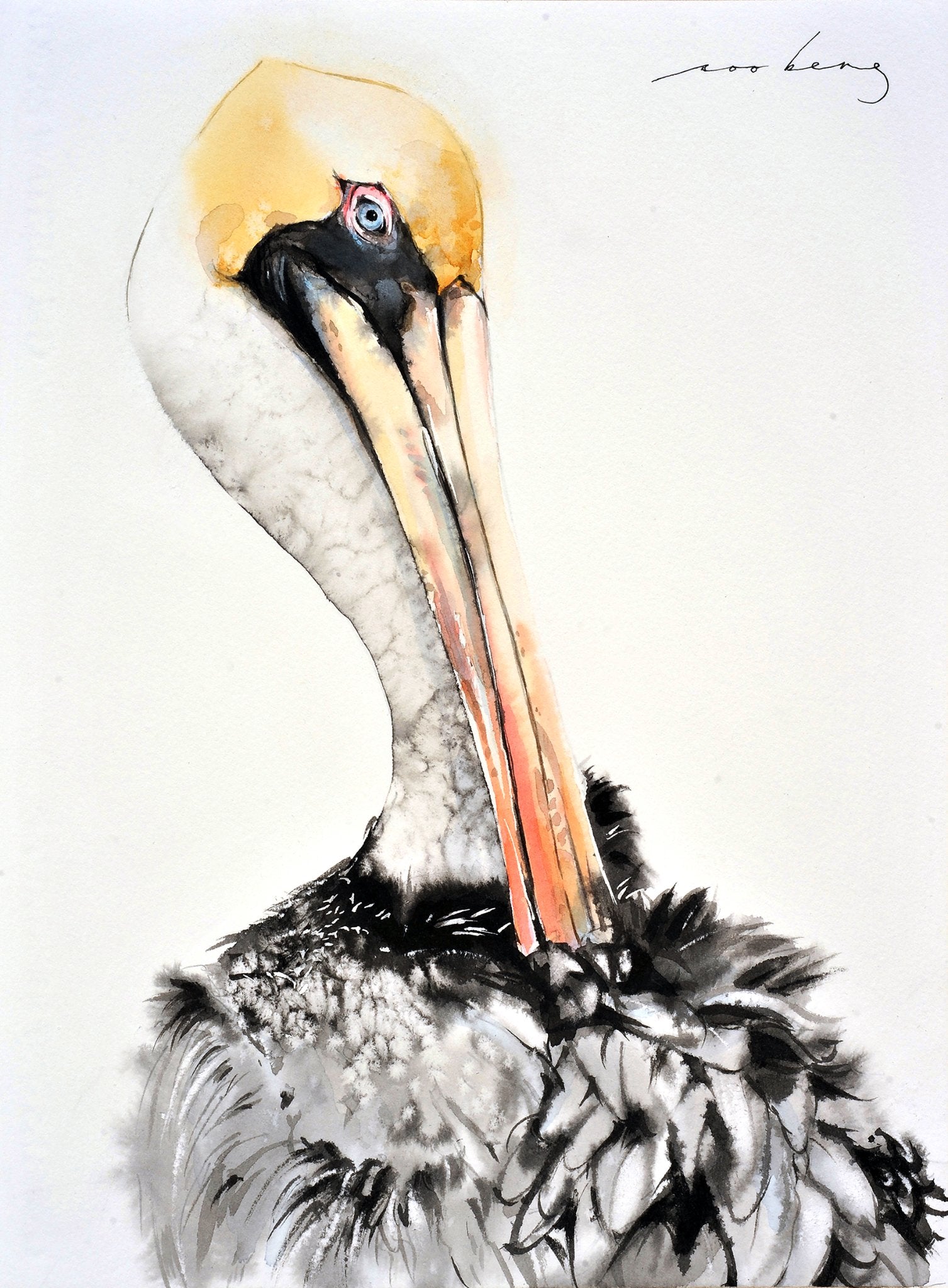 69164a62e1b8ea140711df10_pelican-wonder2_1774912987372.jpg