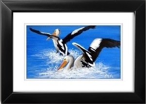 69164a62e1b8ea140711df10_pelicans-9-x-5-in-black-frame_1791362963601.jpg