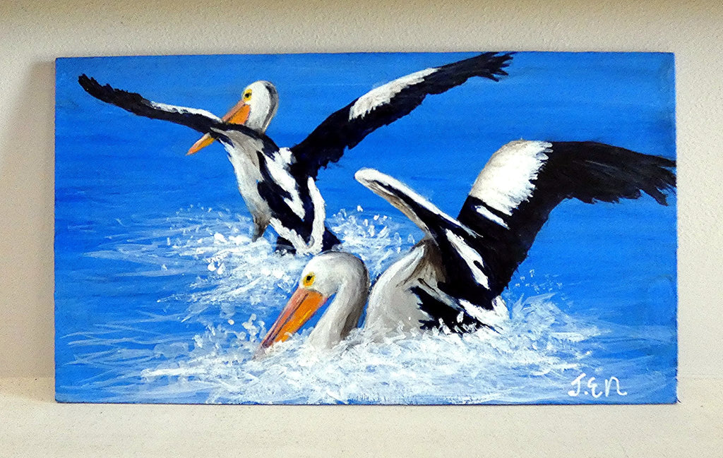 69164a62e1b8ea140711df10_pelicans-camera-hanging_1790127563774.jpg