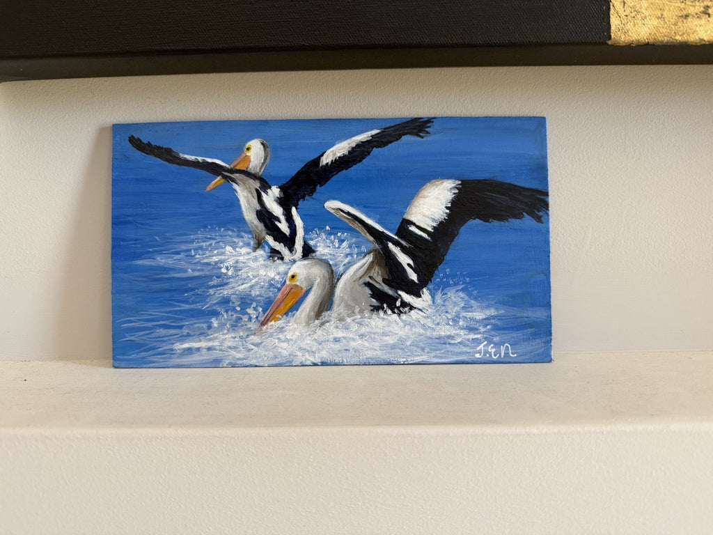 69164a62e1b8ea140711df10_pelicans-in-motion-1_1790127563775.jpg