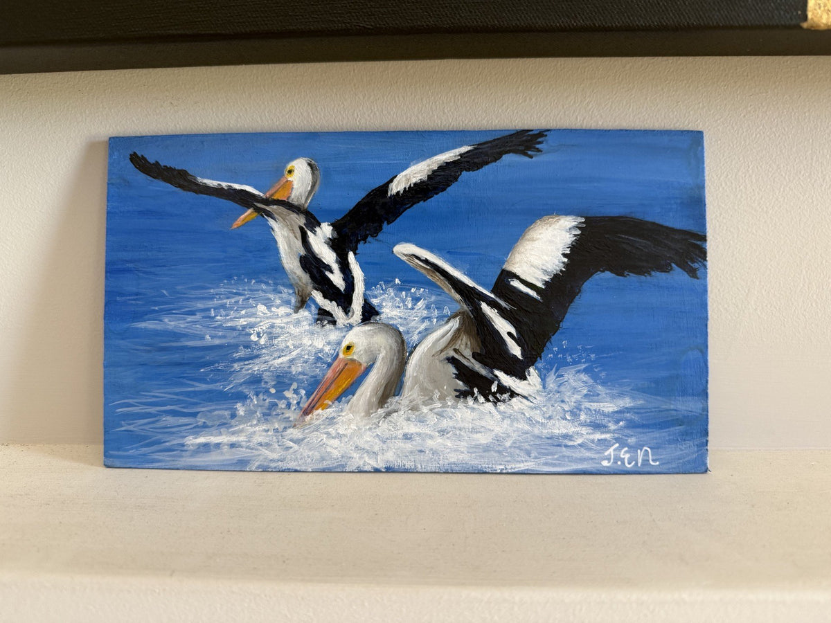 69164a62e1b8ea140711df10_pelicans-in-motion_1790127563775.jpg