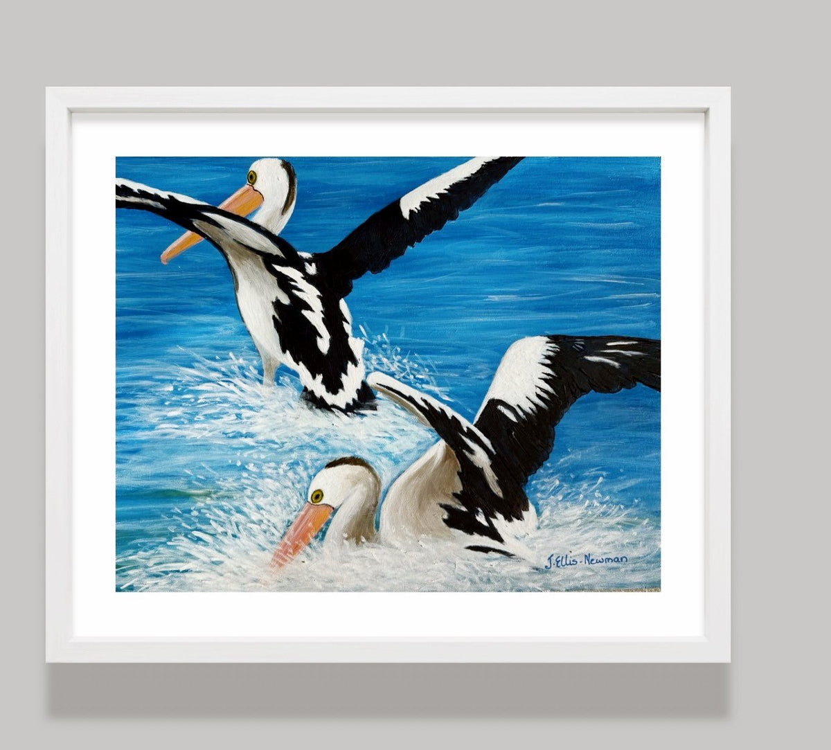69164a62e1b8ea140711df10_pelicans-landing-hanging_1784948981633.jpg