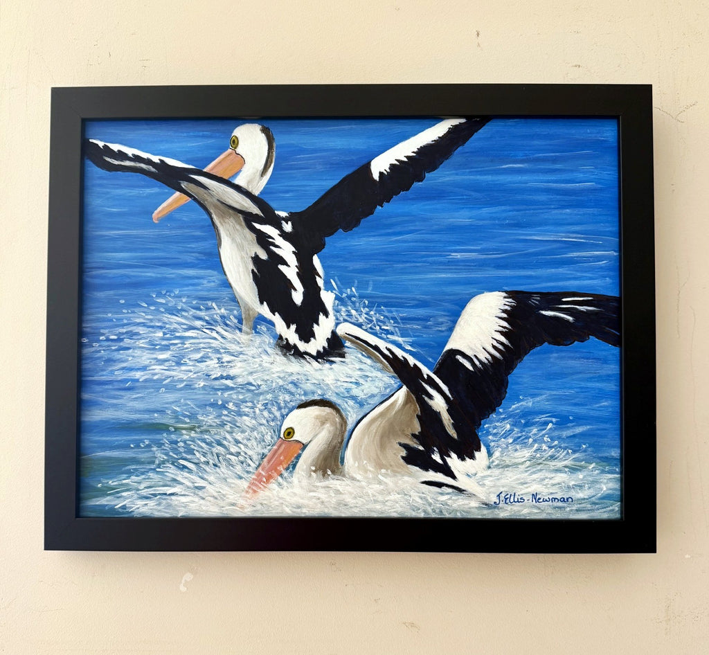 69164a62e1b8ea140711df10_pelicans-landing-hanging_1785130396586.jpg