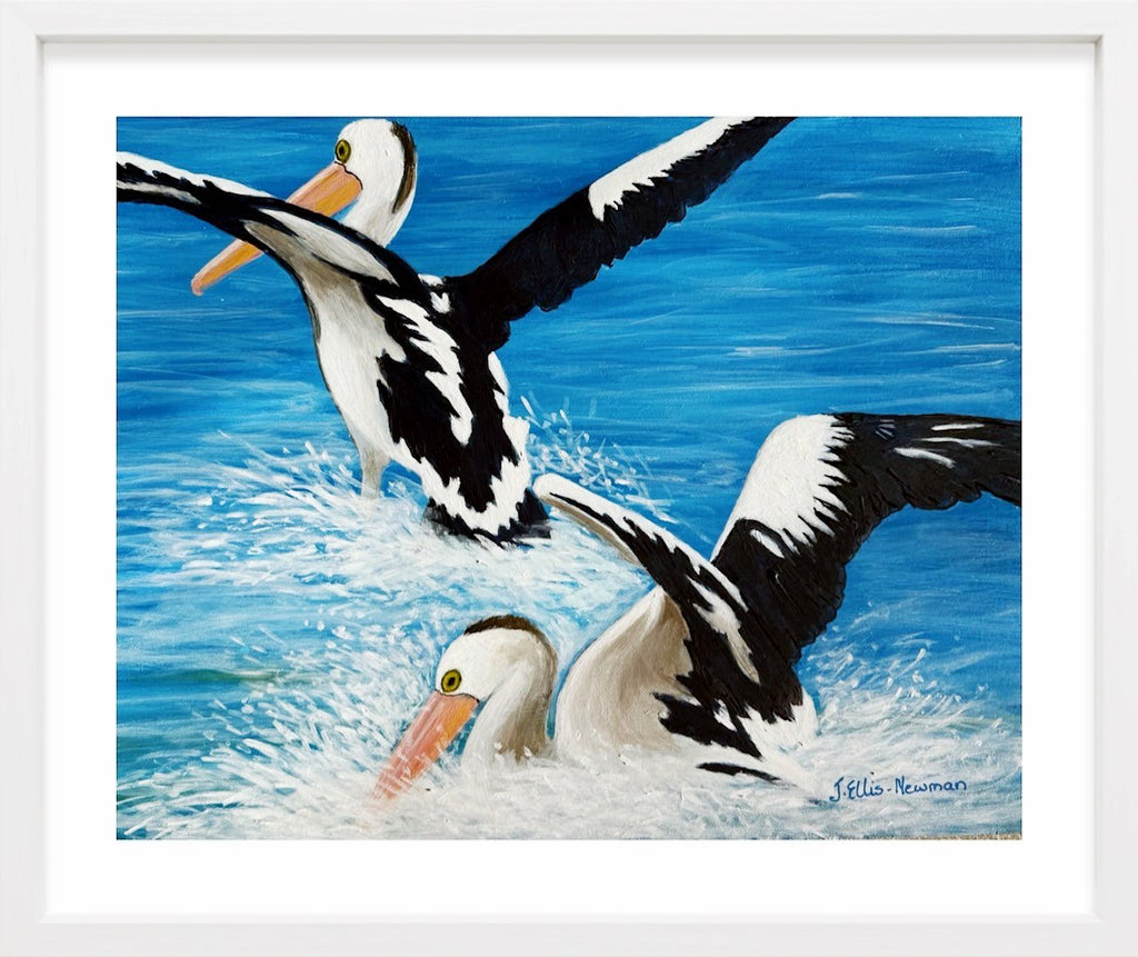 69164a62e1b8ea140711df10_pelicans-landing-in-frame-no_1784948942259.jpg