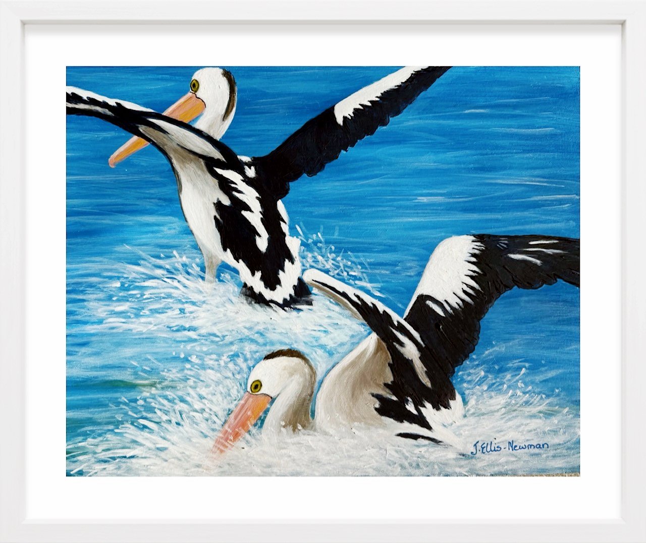 69164a62e1b8ea140711df10_pelicans-landing-in-frame-no_1784948942259.jpg