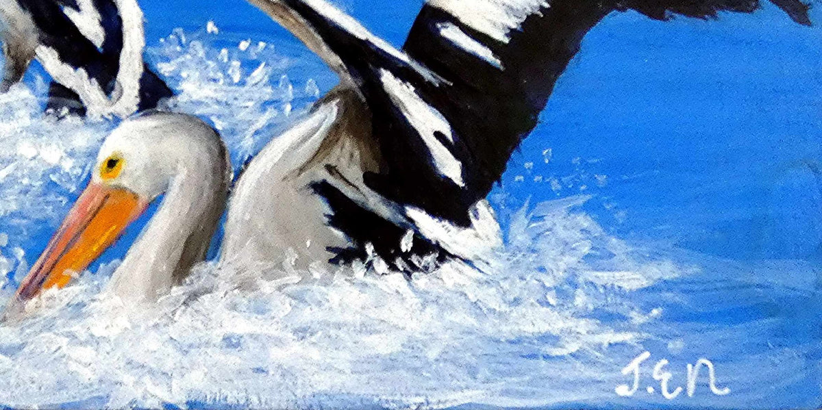 69164a62e1b8ea140711df10_pelicans-signature_1790127563774.jpg