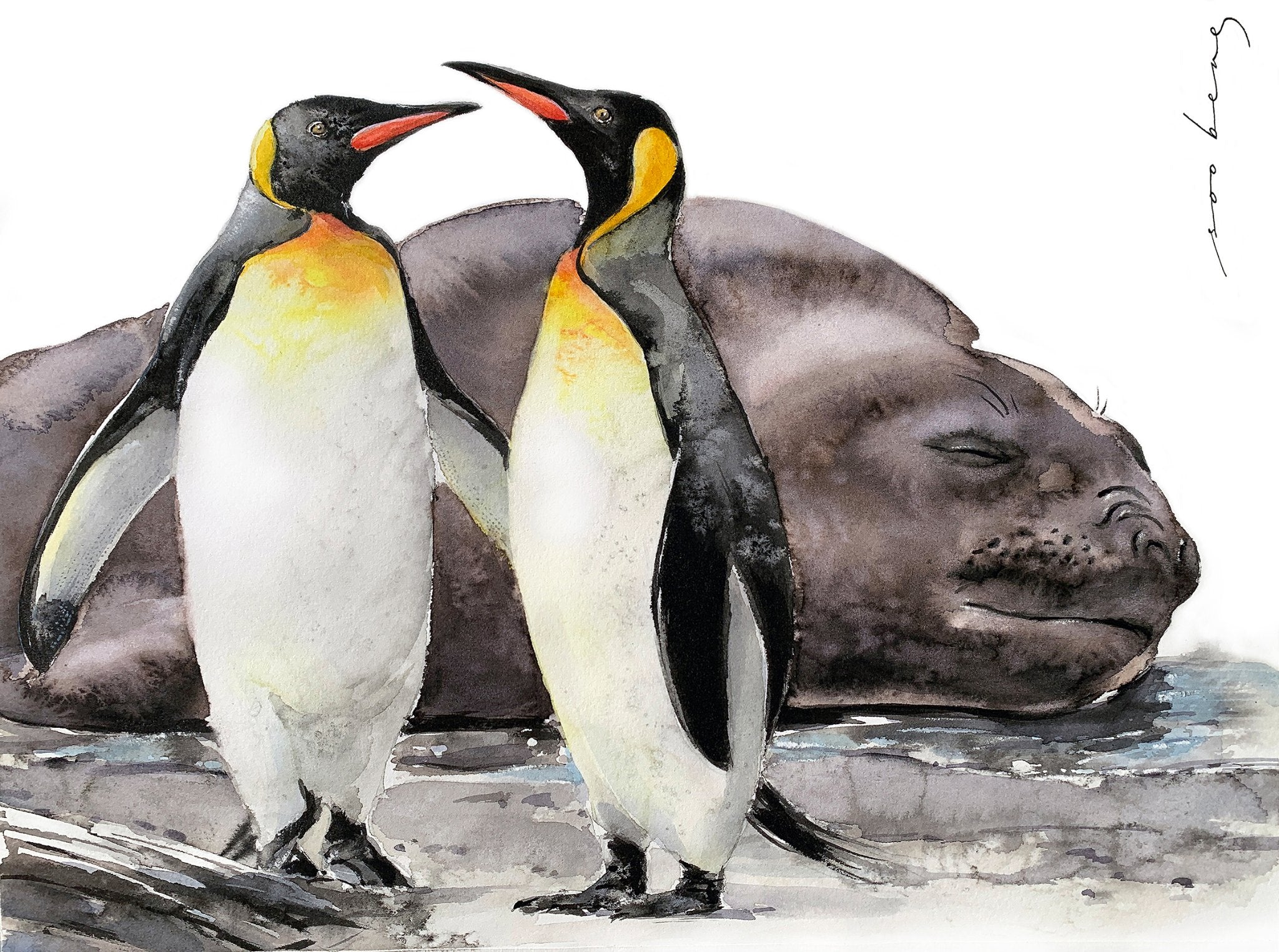 69164a62e1b8ea140711df10_penquin-chatter-copy_1773147098997.jpg