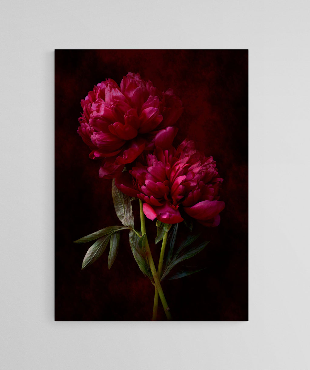 69164a62e1b8ea140711df10_peonies-2_1784347842175.jpg