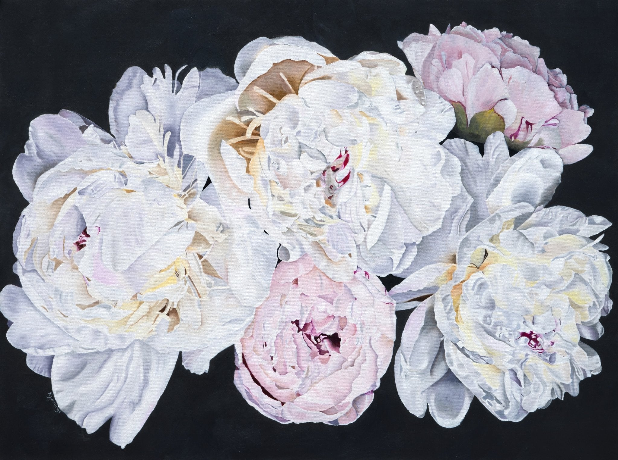 69164a62e1b8ea140711df10_peonies-web_1772942596553.jpeg
