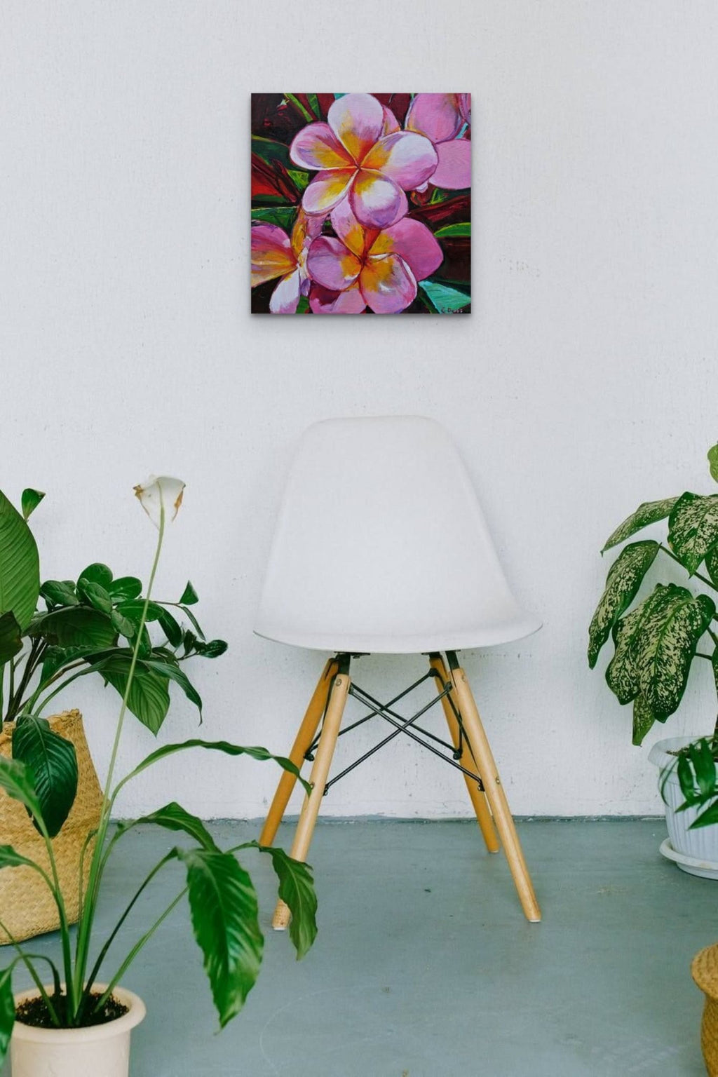 69164a62e1b8ea140711df10_pink-frangipani-styled-scene-bluethumb_1767235432201.jpg