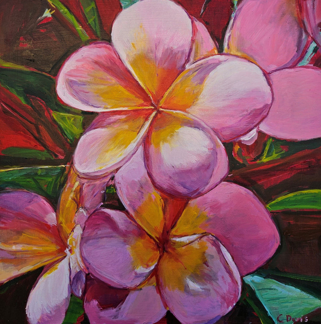 69164a62e1b8ea140711df10_pink-frangipanis-bluethumb_1767235408670.jpg
