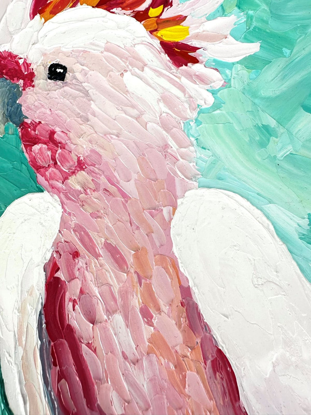 69164a62e1b8ea140711df10_pink-punk-feathers_1793409975561.jpg