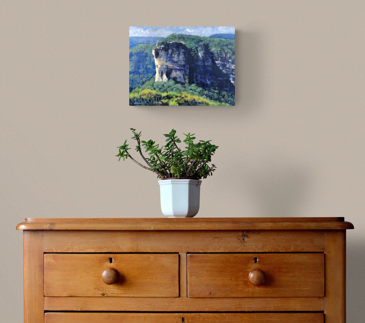 69164a62e1b8ea140711df10_plant-on-wooden-drawers_1772413132066.jpg
