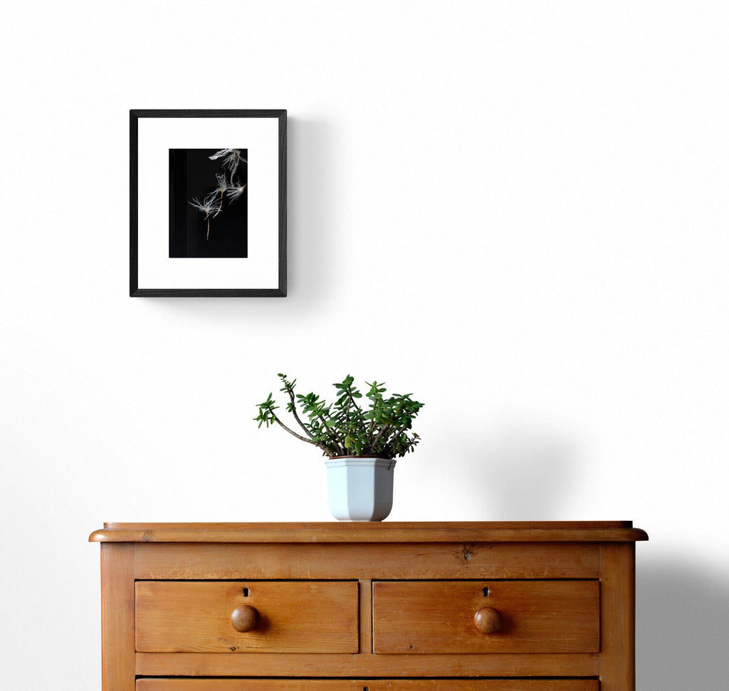 69164a62e1b8ea140711df10_plant-on-wooden-drawers_1779244786516.jpg