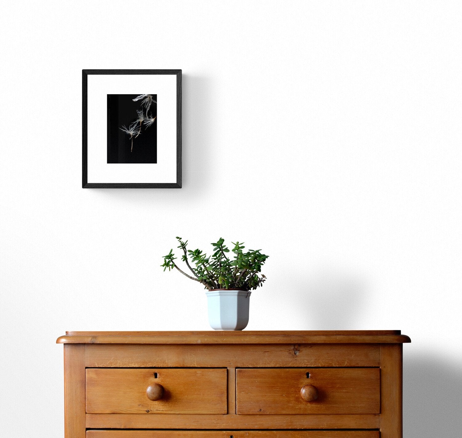 69164a62e1b8ea140711df10_plant-on-wooden-drawers_1779244786516.jpg