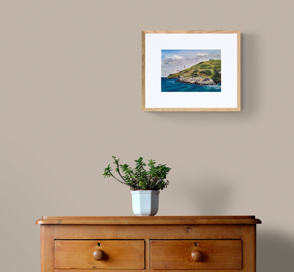 69164a62e1b8ea140711df10_plant-on-wooden-drawers_1780466865572.jpg