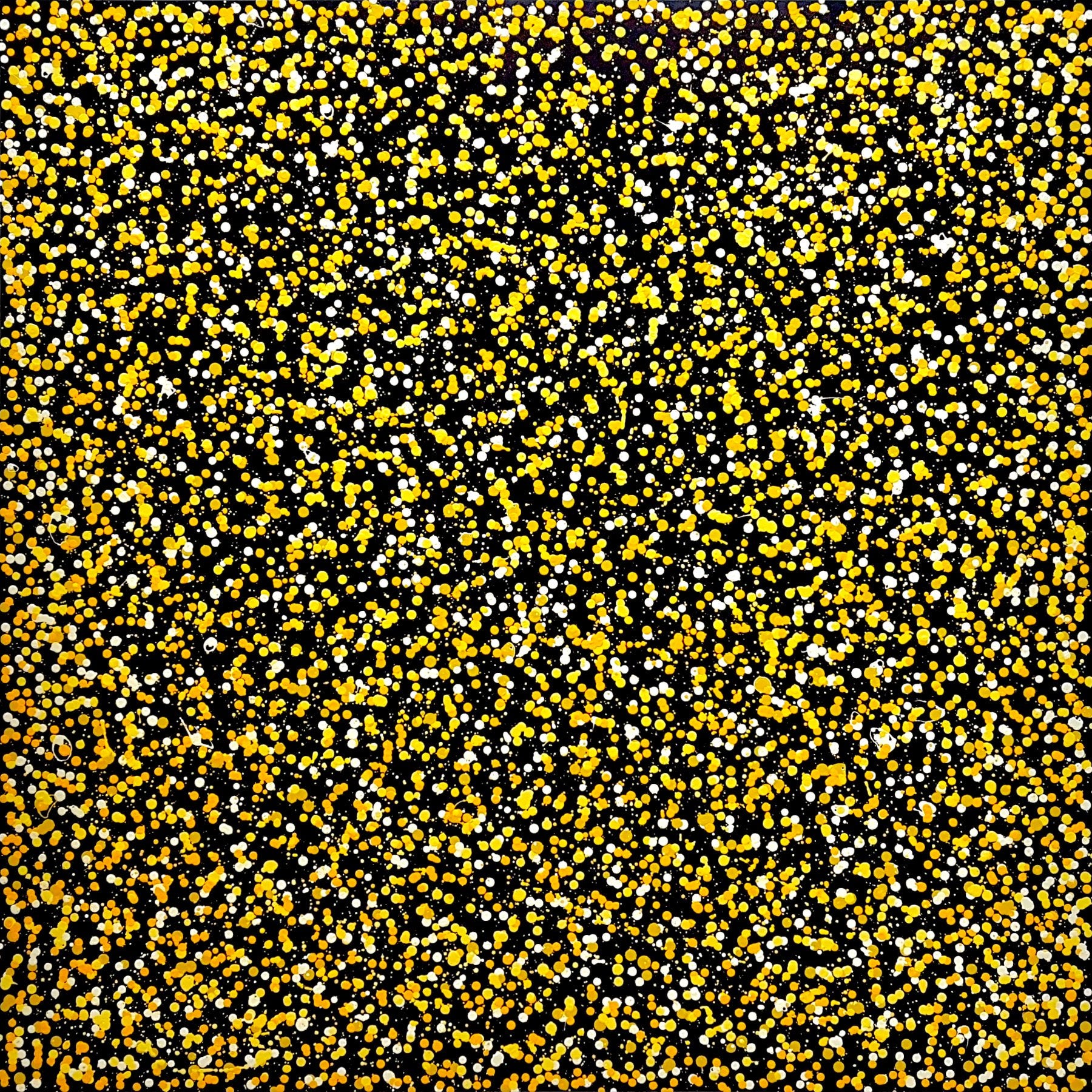 69164a62e1b8ea140711df10_pollen-yellow-dots-abstract-deborah-lang-art-urban-canvas-7_1767742020911.jpg