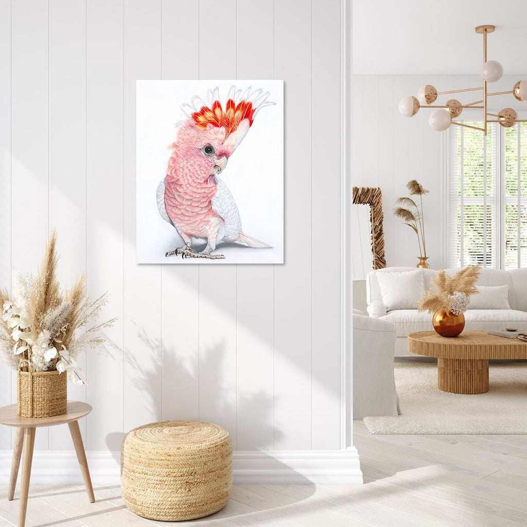 69164a62e1b8ea140711df10_polly-mockup-social2_1774674118409.jpg