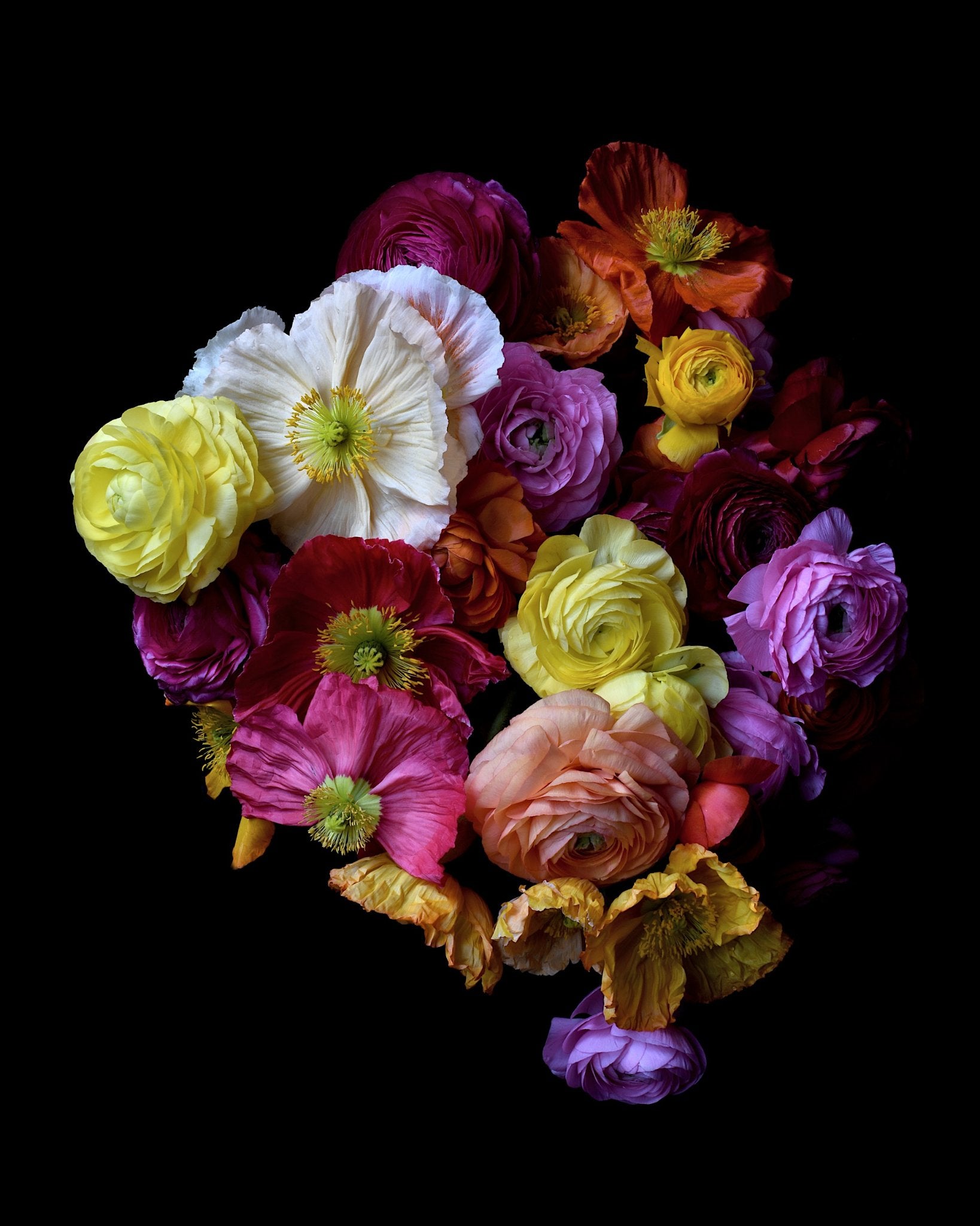 69164a62e1b8ea140711df10_poppies-and-buttercups-colourful-floral-wall-art-moody-flower-photography-print-by-nadia-culph_1779601590548.jpg