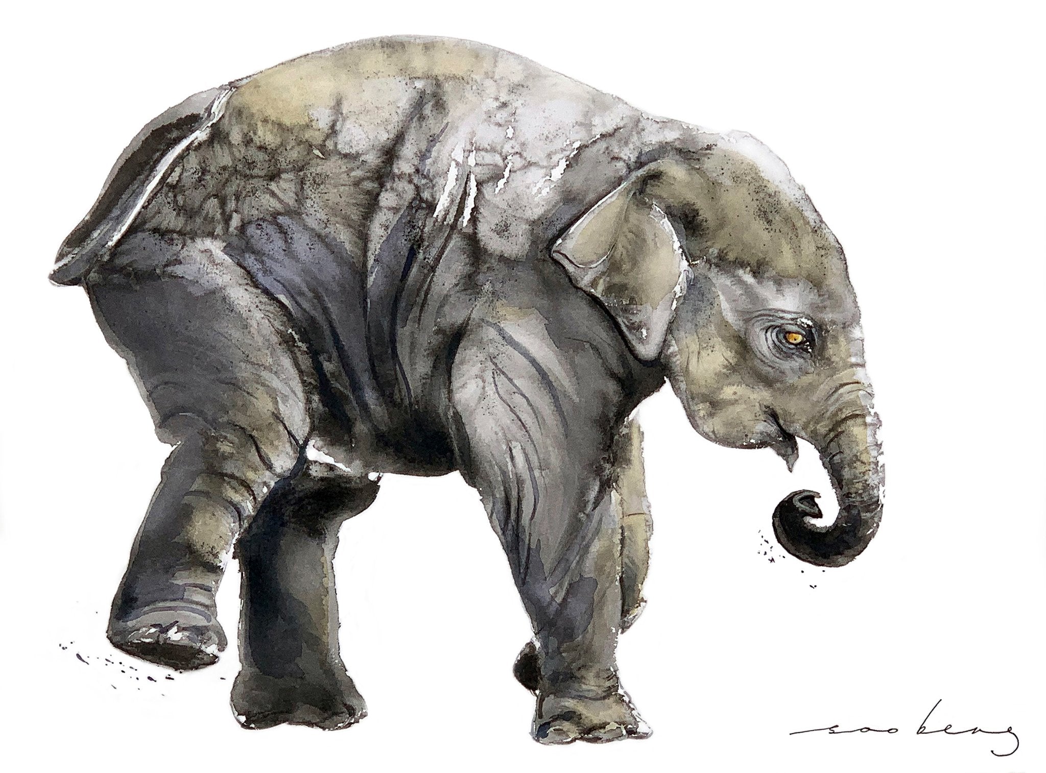 69164a62e1b8ea140711df10_prancing-elephant_1774659097828.jpg