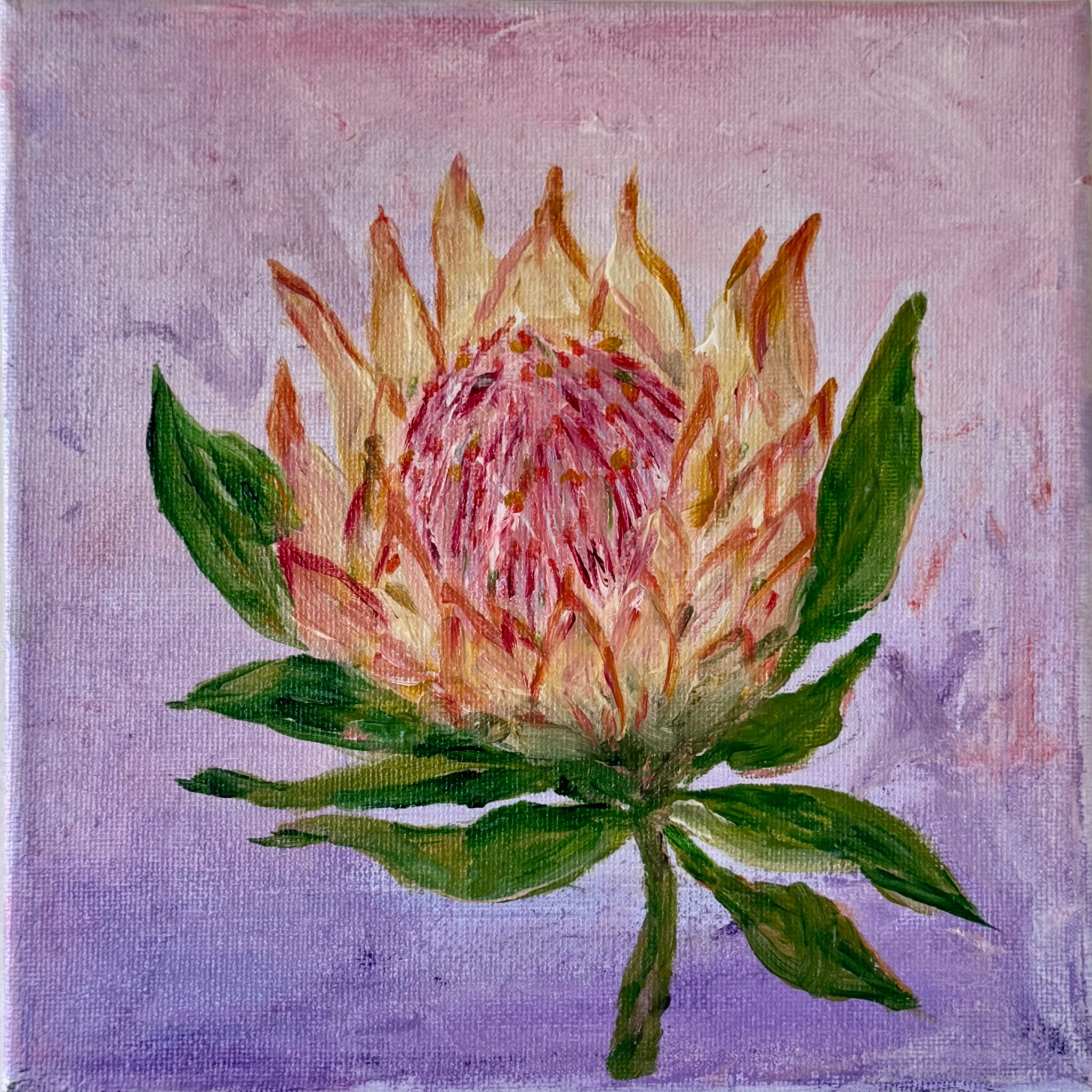 69164a62e1b8ea140711df10_prettiest-protea-marg-lukas-art-newcastle-nsw-floral-artist_1774501383789.jpeg