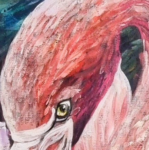 69164a62e1b8ea140711df10_pretty-flamingo-framed-close-up_1774996427009.jpg