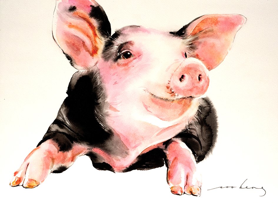 69164a62e1b8ea140711df10_prosperity-pig4_1774911436929.jpg