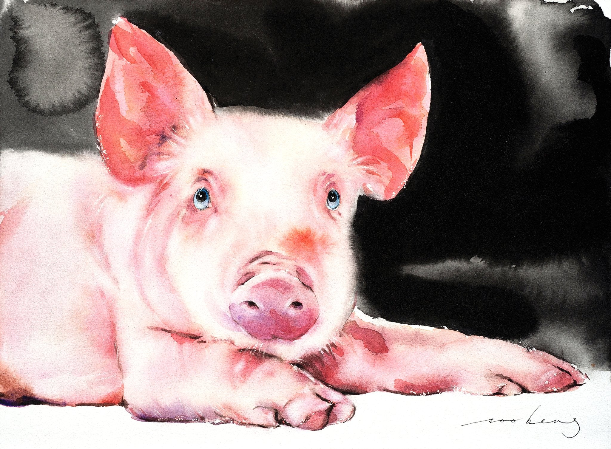 69164a62e1b8ea140711df10_prosperity-pig5_1774911219236.jpg