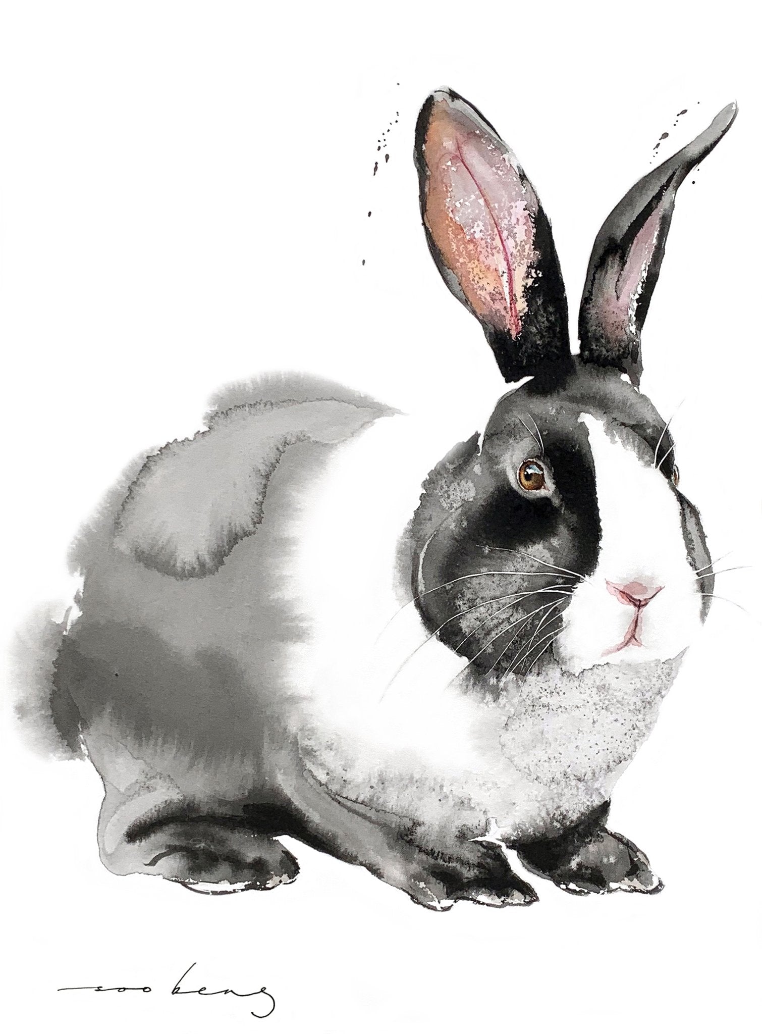 69164a62e1b8ea140711df10_prosperity-rabbit2_1774658393388.jpg