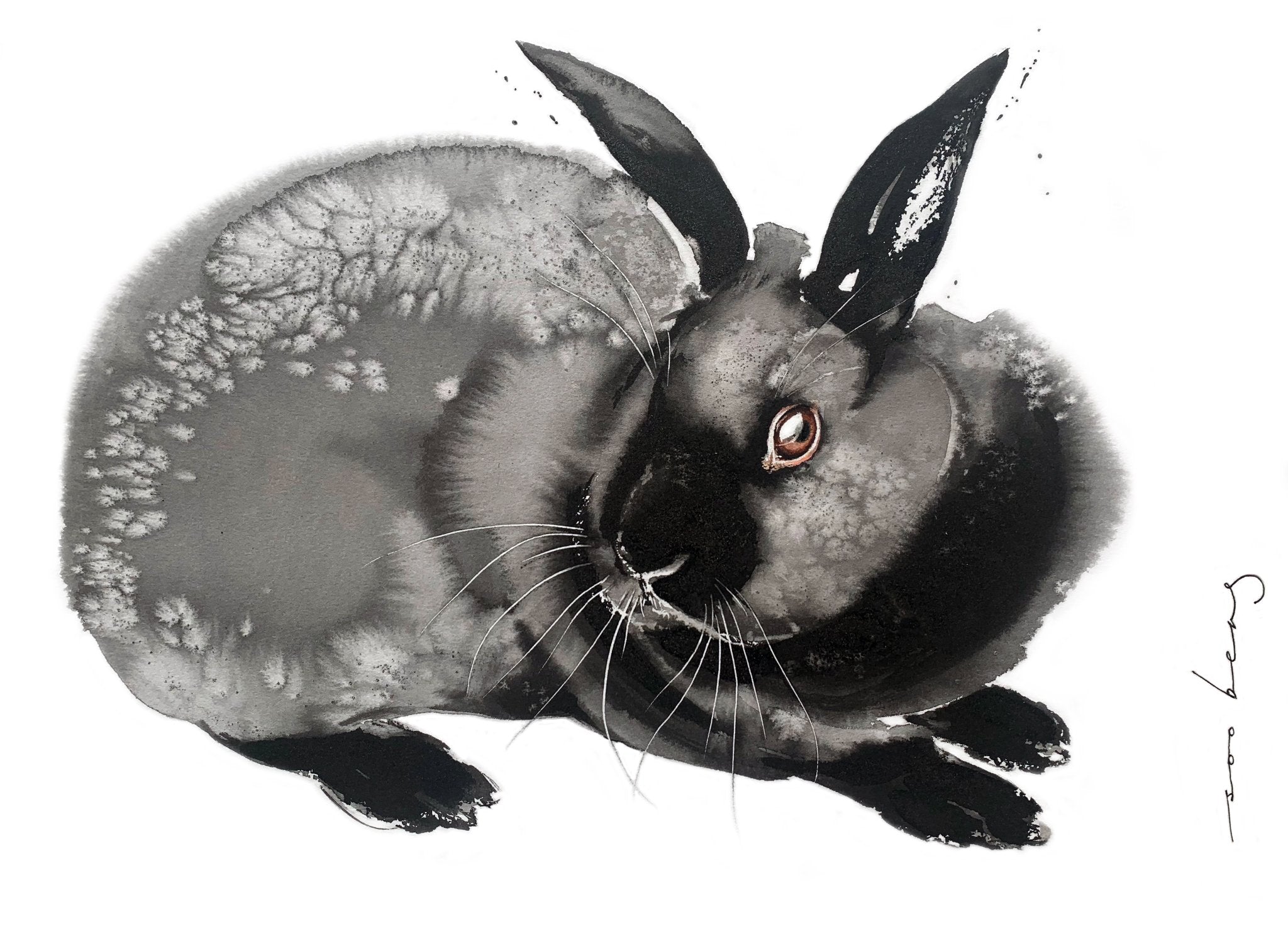 69164a62e1b8ea140711df10_prosperity-rabbit_1774658537935.jpg