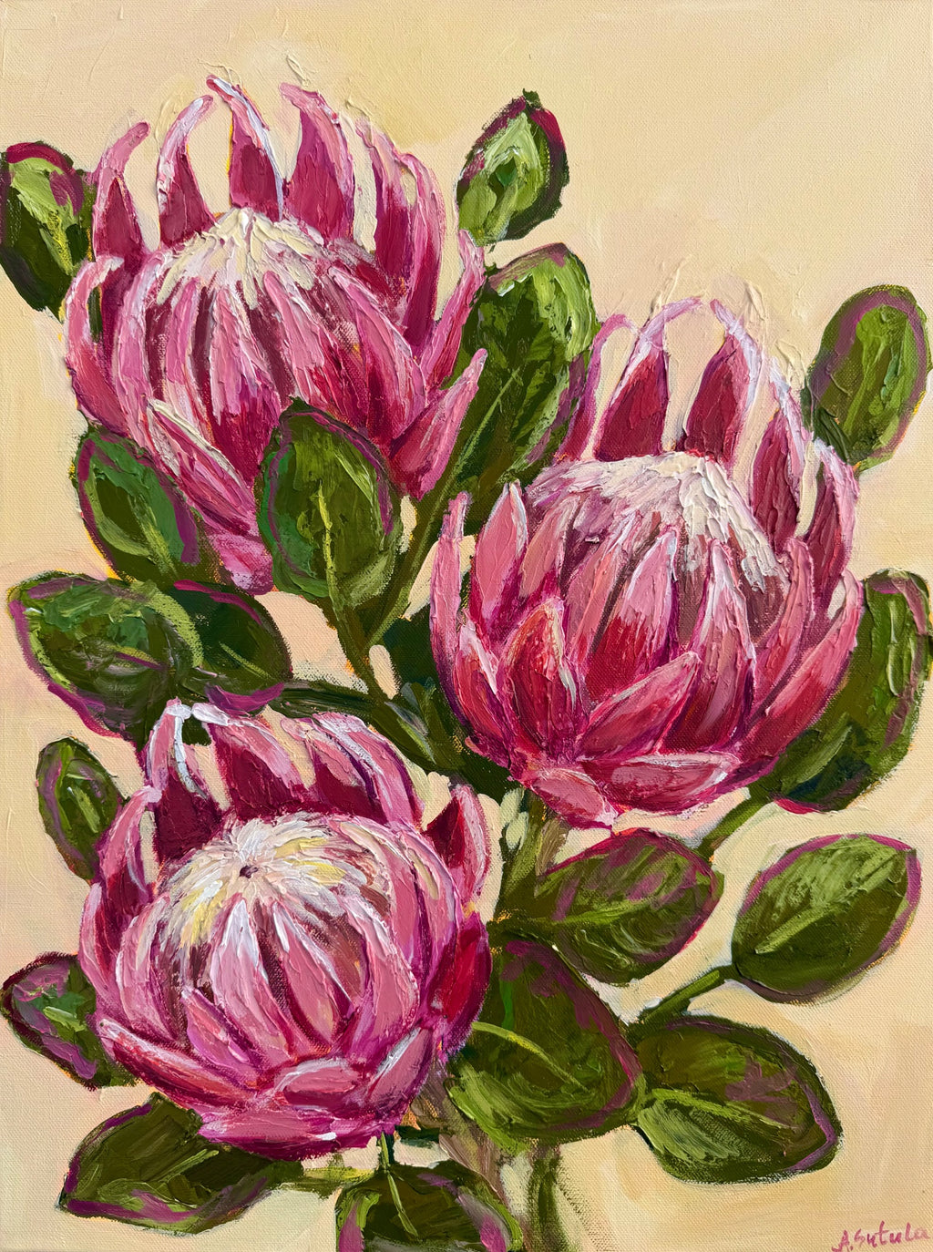 69164a62e1b8ea140711df10_protea-trio_1788089207970.jpeg