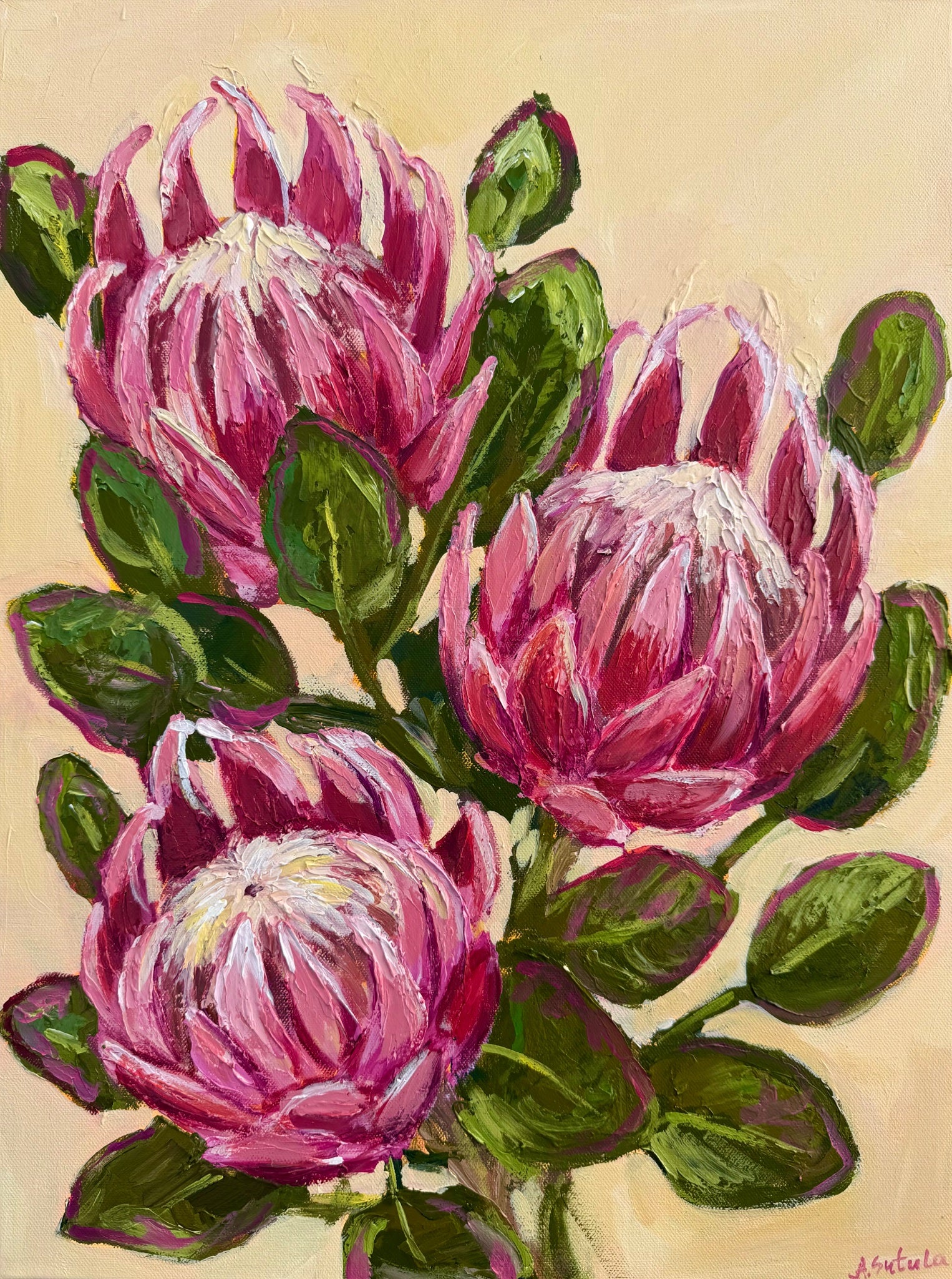 69164a62e1b8ea140711df10_protea-trio_1788089207970.jpeg