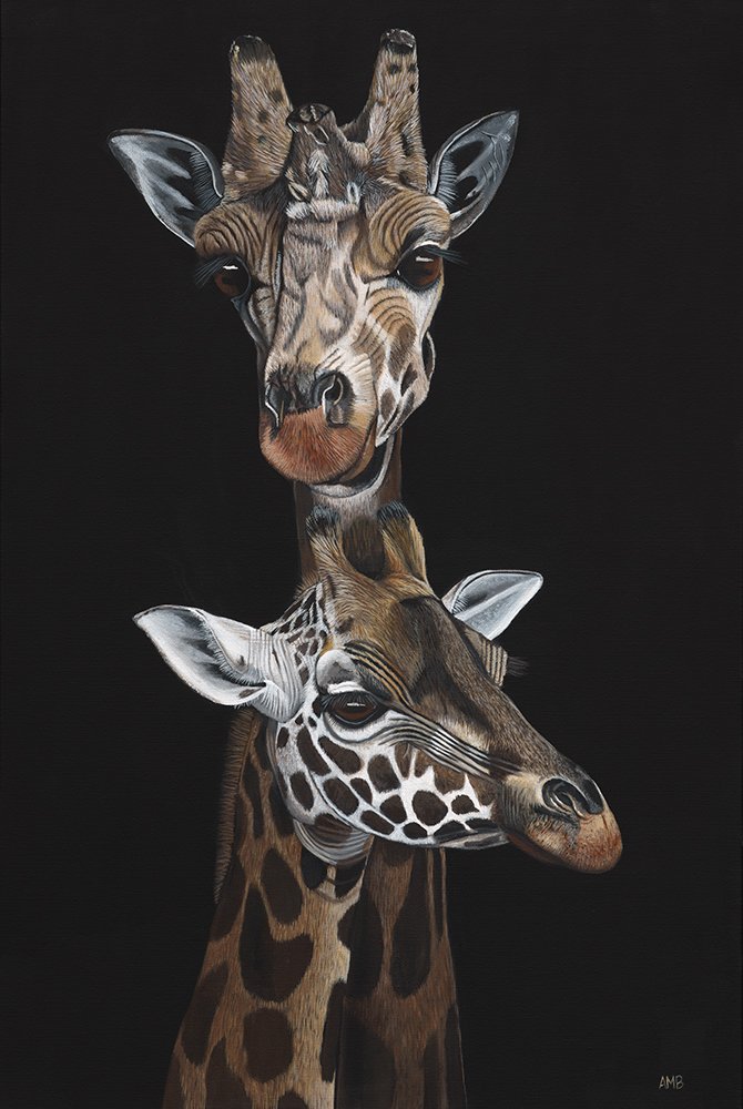 69164a62e1b8ea140711df10_protection-pd-ambloor-910x610-giraffessrgbweb_1774674869980.jpg